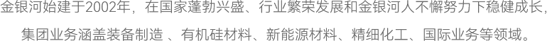 金銀河始建于2002年，在國家蓬勃興盛、行業(yè)繁榮發(fā)展和金銀河人不懈努力下穩(wěn)健成長，
集團業(yè)務(wù)涵蓋裝備制造 、有機硅材料、新能源材料、精細化工、國際業(yè)務(wù)等領(lǐng)域。